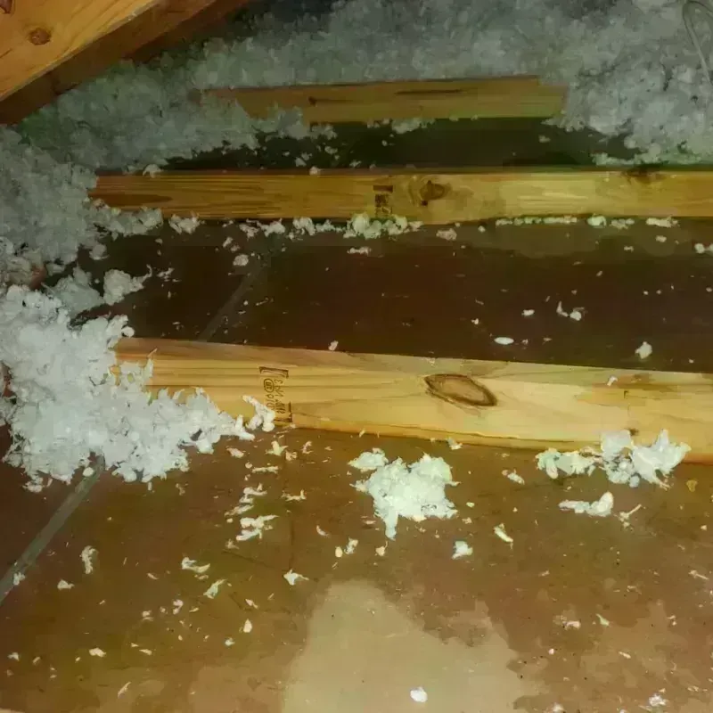 Attic Water Damage in Louisville, OH