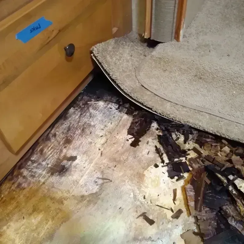 Wood Floor Water Damage in Louisville, OH